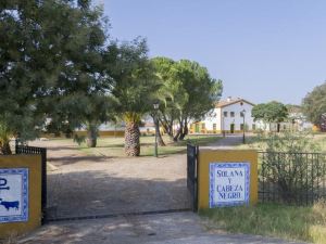 Casa Rural Dehesa de Solana