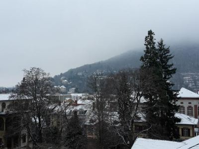 Altstadtblick