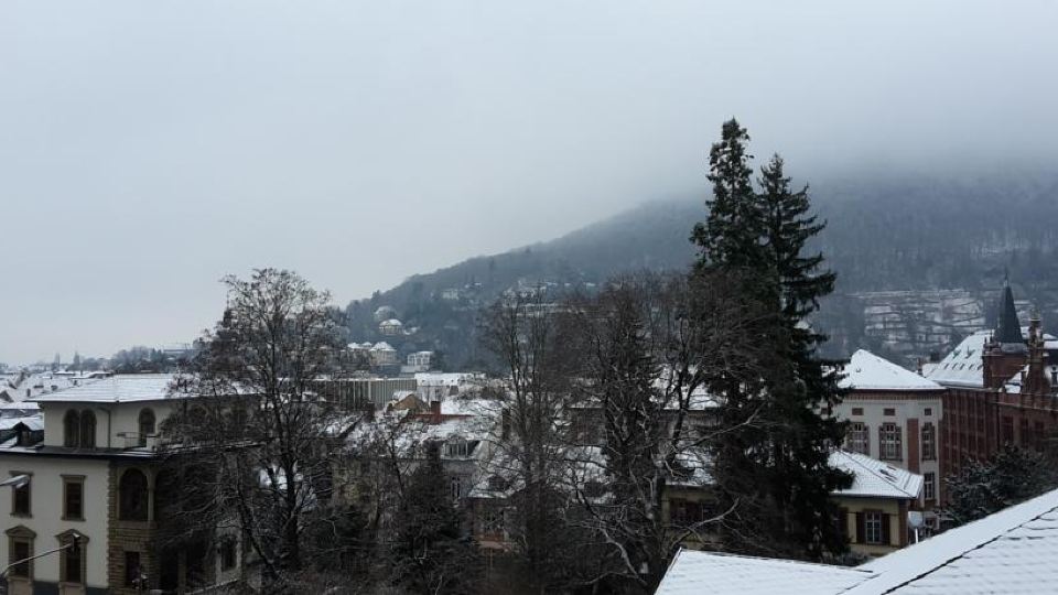 Altstadtblick