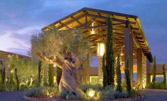 a large tree in front of a building with a walkway and trees , illuminated by lights at The Romanos, a Luxury Collection Resort, Costa Navarino