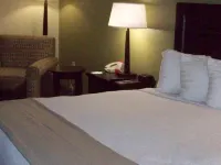 Holiday Inn FORT MYERS - DOWNTOWN AREA by IHG Hotels near Edison Park