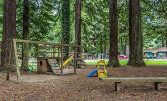 Emerald Forest Cabins