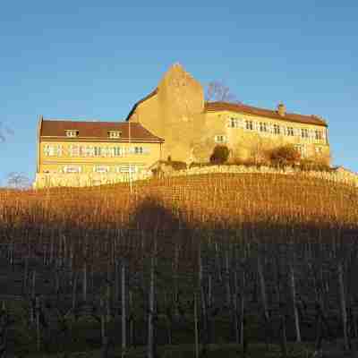 Hotel & Restaurant Schloss Schwandegg Hotel Exterior