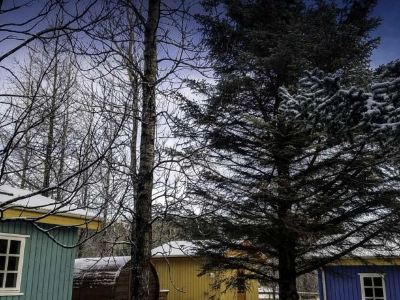 Backyard Village