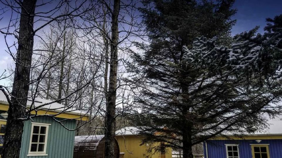 Backyard Village