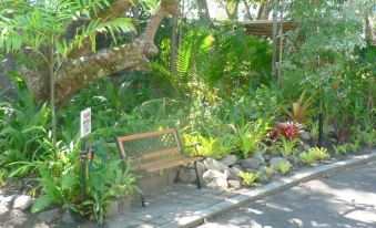 Mango Tree Holiday Apartments