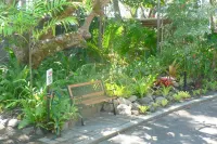 Mango Tree Holiday Apartments