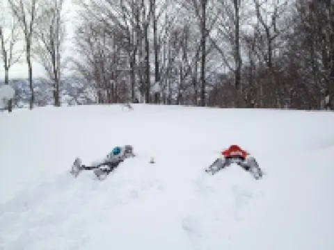 変若水の湯 つたや 西川町のホテル