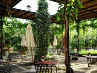 The Vintage House - Douro Hotels in Alijo
