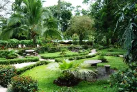 Ara Ambigua Lodge Hotels in Cantón de Sarapiquí