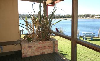 a brick planter filled with tall plants on a porch , overlooking a body of water at Lake Edge Holiday Units