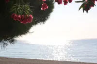 ChrisMare Hotel - Beach