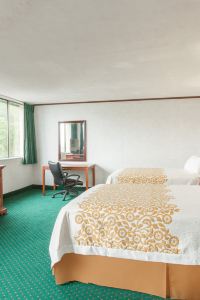 Mill Casino Pet Friendly