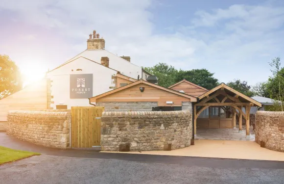 森林住宿加早餐旅館