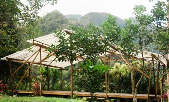 Omega Tours Eco-Jungle Lodge