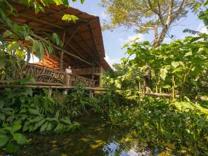 La Tigra Rainforest Lodge