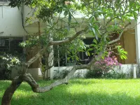 Villa Mango Hotels in 