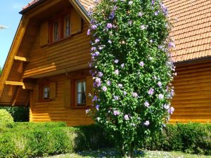 House with 3 Bedrooms in Gornja Voća, with Wonderful Mountain View, Enclosed Garden and Wifi
