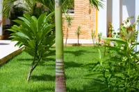 Hotel Villa Beija Flor