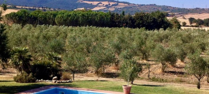Il Girasole Terzuolo Hotels in Scansano