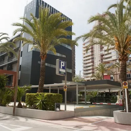 Hotel El Palmeral