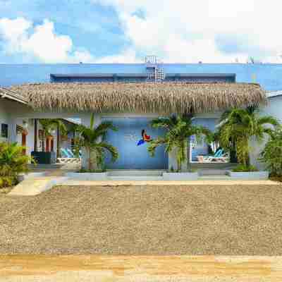 Parrot Cove Lodge Hotel Exterior