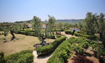 Agriturismo I Tesori del Sud Vieste, Puglia