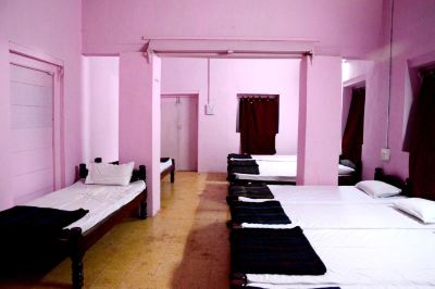 Other Wild Flower Photo