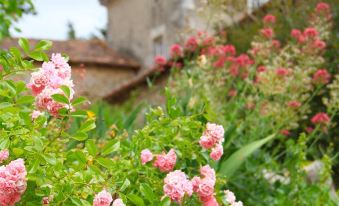 Château de Périgny, the Originals Relais