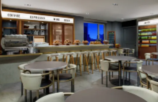 Hotel Indigo LOWER EAST SIDE NEW YORK by IHG