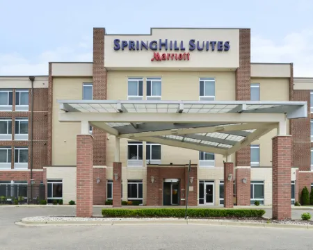 羅穆勒斯底特律都會機場萬豪SpringHill飯店 羅穆勒斯住宿飯店