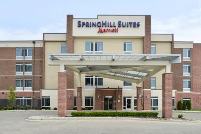 羅穆勒斯底特律都會機場萬豪SpringHill酒店