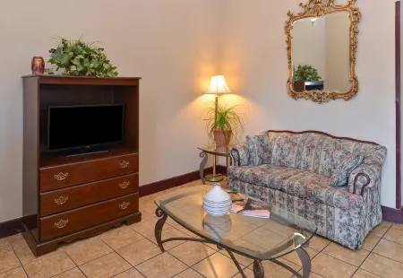 Econo Lodge Inn & Suites Отели в г. Север Клинтон