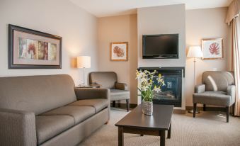 a cozy living room with a couch , chair , and television . also a fireplace in the room at Hotel le Versailles