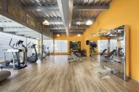 El Embajador, a Royal Hideaway Hotel - Gym