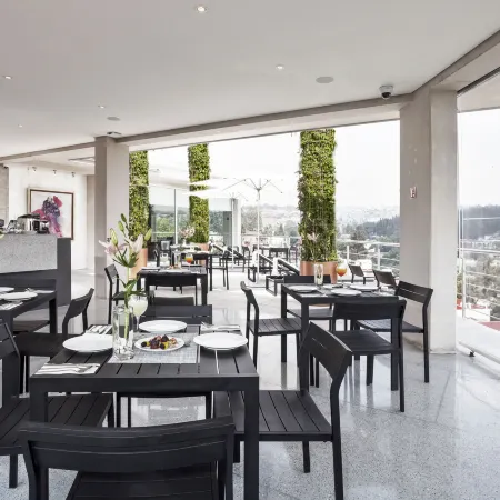 Capitalia - ApartHotel - San Angel Inn Отели рядом с достопримечательностью «Мусео Фрида Кайло»