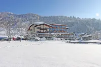 Hotel Penzinghof Hotels in Ellmau