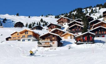 Vacancéole - les Chalets de l'Isard