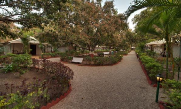 Lion Safari Camp - Housity