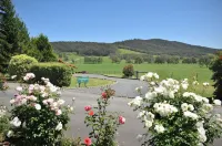 The Cottage-Gather the Crew or the Family and Prepare for Fun Times and Relaxation. Making Memories - Bjergudsigt