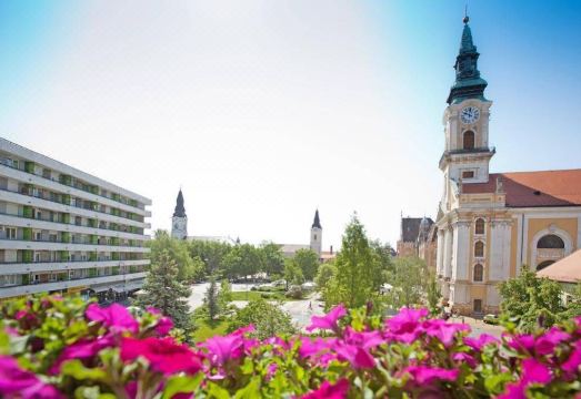 아라니호모크 비즈니스 시티-웰니스-호텔 로비