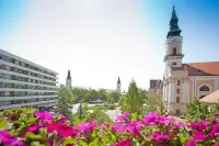 Aranyhomok Business-City-Wellness Hotel Hotels in Kecskemét