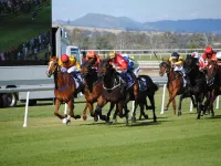 Airlie House Motor Inn Hotels in Scone