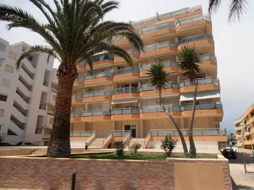 Apartamentos Surfing 3000 - สัตว์เลี้ยง