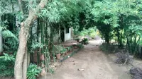 Tiger N Woods Resort فنادق في Kohka