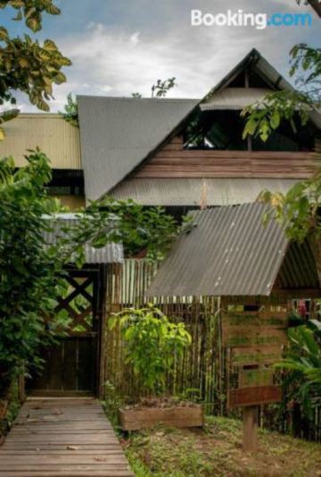 Other Ayahuasca Photo