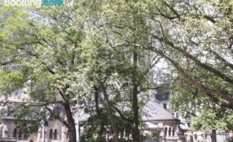 Silentio Schletterstrasse