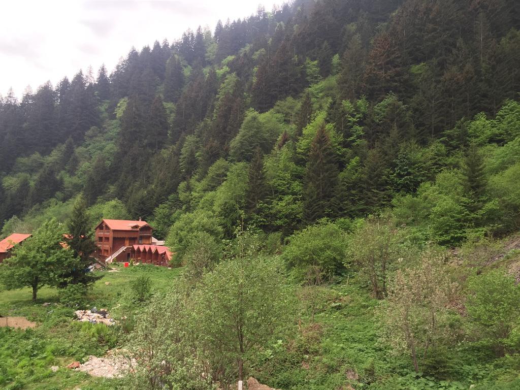 Uzungol Soylu Hotel