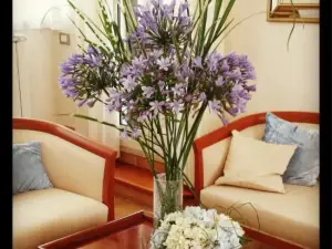 Dea Suite Roma