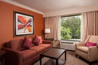 Delta Hotels by Marriott Orlando Lake Buena Vista Hotels in Orlando